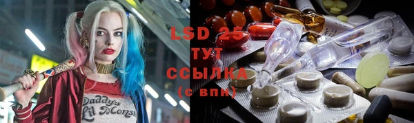 индика Струнино
