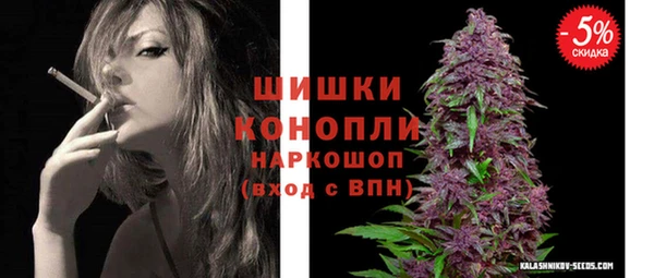 индика Струнино