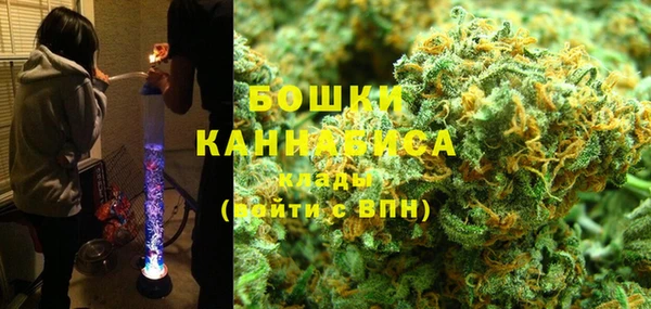 бошки Белокуриха