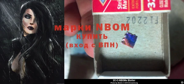 индика Струнино