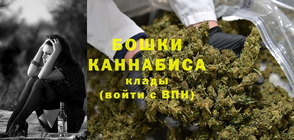 индика Струнино