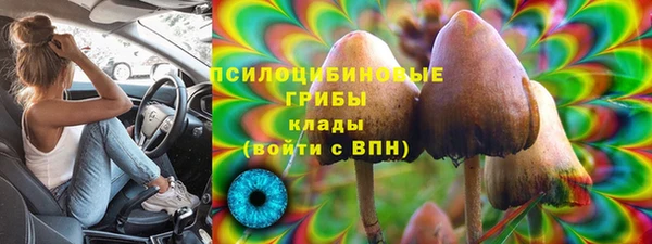 дживик Ступино
